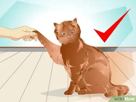 Image titled Teach a Cat to "High Five" Step 1